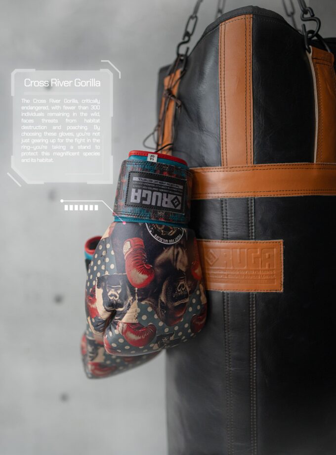 Close-up of RUGA boxing gloves with Cross River Gorilla artwork hanging on a leather boxing bag.